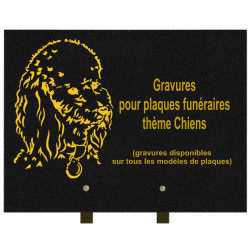 PLAQUE FUNÉRAIRE 30X40 CHIENS GRANIT SUR PIEDS