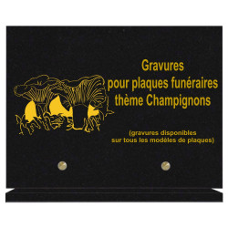 PLAQUE FUNÉRAIRE 20X30 CHAMPIGNONS GRANIT SUR SOCLE