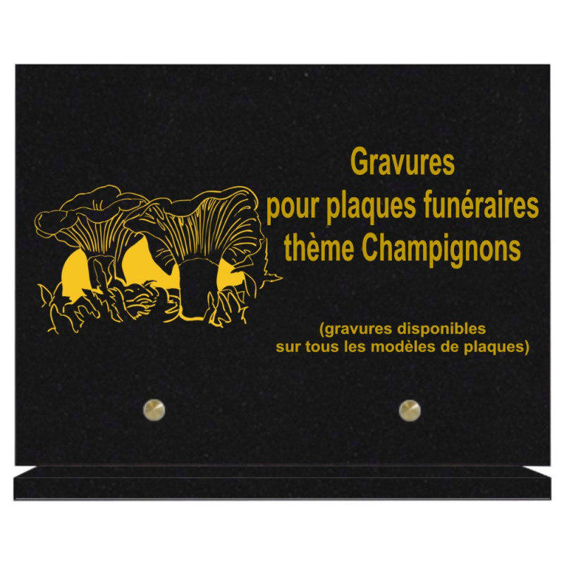 PLAQUE FUNÉRAIRE 20X30 CHAMPIGNONS GRANIT SUR SOCLE