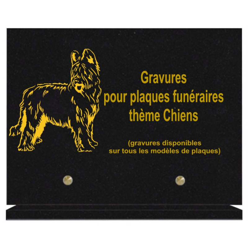 PLAQUE FUNÉRAIRE 20X30 CHIENS GRANIT SUR SOCLE