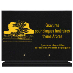 PLAQUE FUNÉRAIRE 25X35 ARBRES GRANIT SUR SOCLE