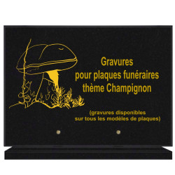 PLAQUE FUNÉRAIRE 25X35 CHAMPIGNON GRANIT SUR SOCLE