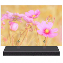 PLAQUE FUNÉRAIRE FLEURS NATURE 20 cm X 30 cm FPF2229