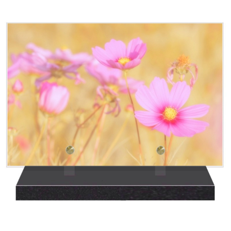 PLAQUE FUNÉRAIRE FLEURS NATURE 20 cm X 30 cm FPF2229