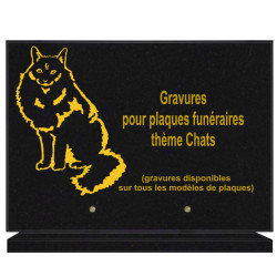 PLAQUE FUNÉRAIRE 25X35 CHAT GRANIT SUR SOCLE