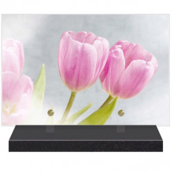 PLAQUE FUNÉRAIRE FLEURS TULIPES 20 cm X 30 cm FPF2234