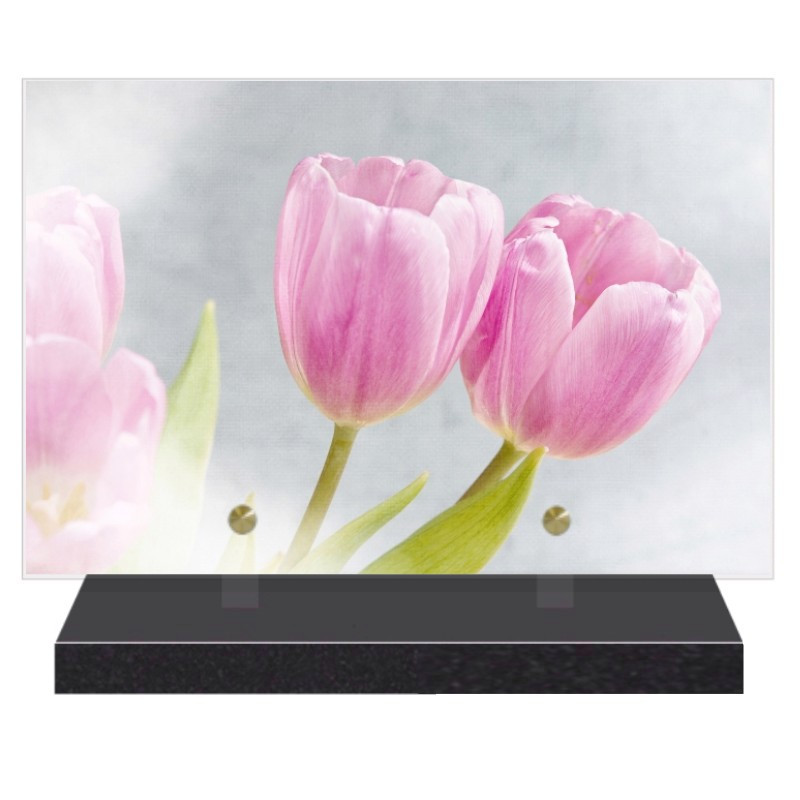 PLAQUE FUNÉRAIRE FLEURS TULIPES 20 cm X 30 cm FPF2234