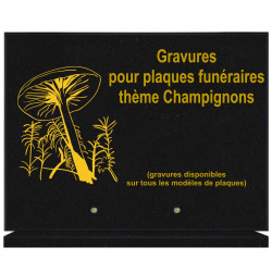 PLAQUE FUNÉRAIRE 30X40 SUR SOCLE GRANIT CHAMPIGNONS