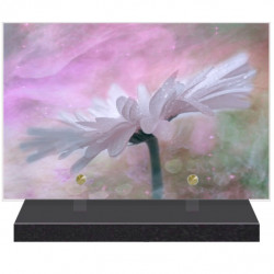 PLAQUE FUNÉRAIRE FLEURS MARGUERITE 20 cm X 30 cm FPF2248