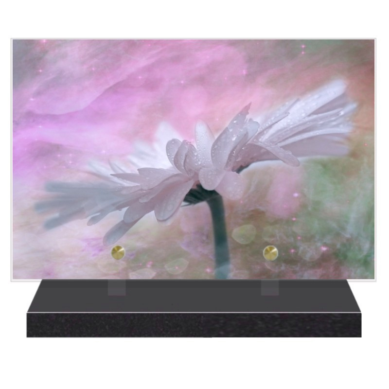 PLAQUE FUNÉRAIRE FLEURS MARGUERITE 20 cm X 30 cm FPF2248