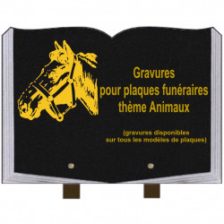 PLAQUE FUNÉRAIRE 25X35 LIVRE GRAVURES ANIMAUX SUR PIEDS