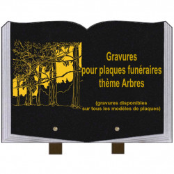 PLAQUE FUNÉRAIRE 25X35 LIVRE GRAVURES ARBRES SUR PIEDS