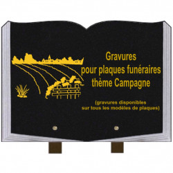 PLAQUE FUNÉRAIRE 25X35 LIVRE GRAVURES CAMPAGNE SUR PIEDS