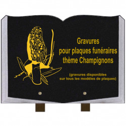 PLAQUE FUNÉRAIRE 25X35 LIVRE GRAVURES CHAMPIGNONS SUR PIEDS