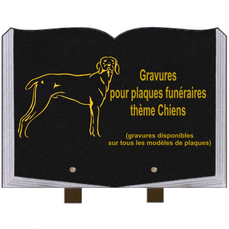 PLAQUE FUNÉRAIRE 25X35 LIVRE GRAVURES CHIENS SUR PIEDS