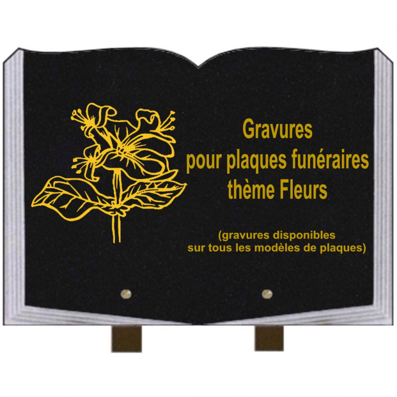 PLAQUE FUNÉRAIRE 25X35 LIVRE GRAVURES FLEURS SUR PIEDS