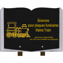 PLAQUE FUNÉRAIRE 25X35 LIVRE GRAVURES TRAINS SUR PIEDS