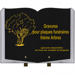 PLAQUE FUNÉRAIRE 30X40 LIVRE SUR PIEDS THÈME ARBRES