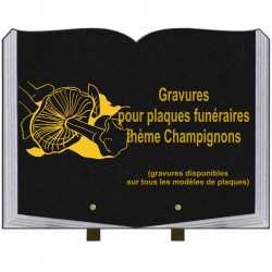 PLAQUE FUNÉRAIRE 30X40 LIVRE SUR PIEDS THÈME CHAMPIGNONS