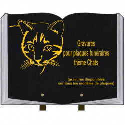 PLAQUE FUNÉRAIRE 30X40 LIVRE SUR PIEDS THÈME CHAT