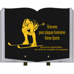 PLAQUE FUNÉRAIRE 30X40 LIVRE SUR PIEDS THÈME SPORTS