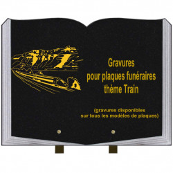 PLAQUE FUNÉRAIRE 30X40 LIVRE SUR PIEDS THÈME TRAINS