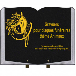 PLAQUE FUNÉRAIRE 35X45 LIVRE SUR PIEDS GRANIT ANIMAUX