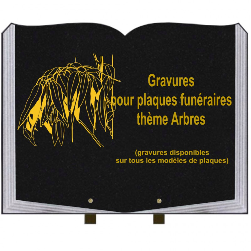 PLAQUE FUNÉRAIRE 35X45 LIVRE SUR PIEDS GRANIT ARBRES