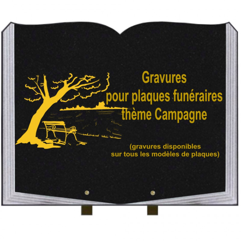 PLAQUE FUNÉRAIRE 35X45 LIVRE SUR PIEDS GRANIT CAMPAGNE