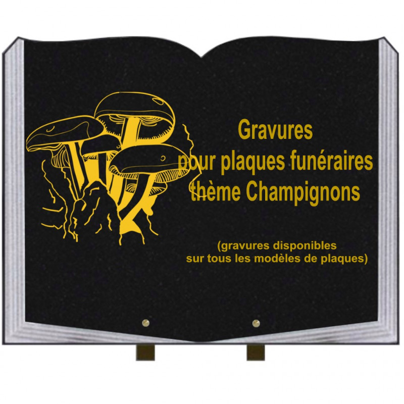 PLAQUE FUNÉRAIRE 35X45 LIVRE SUR PIEDS GRANIT CHAMPIGNONS