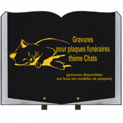 PLAQUE FUNÉRAIRE 35X45 LIVRE SUR PIEDS GRANIT CHATS