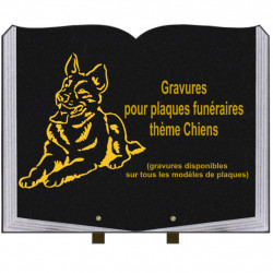 PLAQUE FUNÉRAIRE 35X45 LIVRE SUR PIEDS GRANIT CHIENS