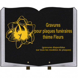 PLAQUE FUNÉRAIRE 35X45 LIVRE SUR PIEDS GRANIT FLEURS