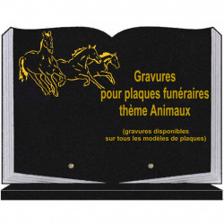 PLAQUE FUNÉRAIRE 25X35 LIVRE SOCLE ANIMAUX