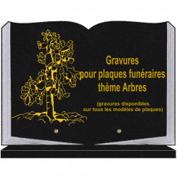 PLAQUE FUNÉRAIRE 25X35 LIVRE SOCLE ARBRES