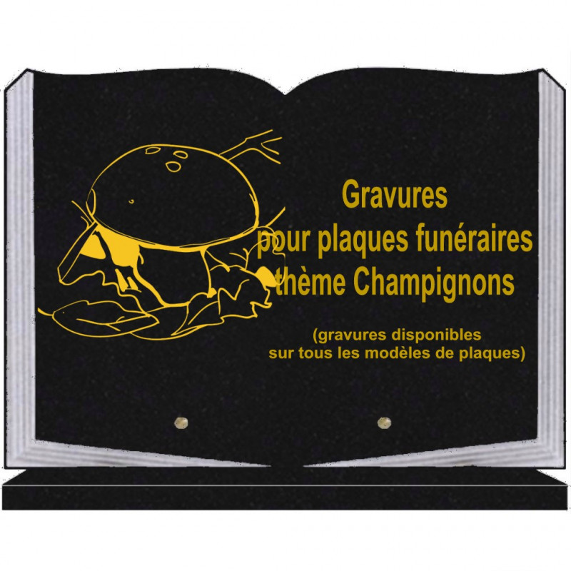 PLAQUE FUNÉRAIRE 25X35 LIVRE SOCLE CHAMPIGNONS