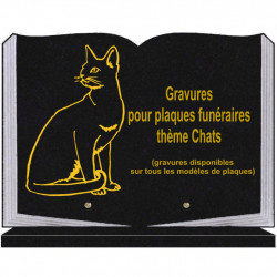 PLAQUE FUNÉRAIRE 25X35 LIVRE SOCLE CHATS