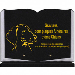 PLAQUE FUNÉRAIRE 25X35 LIVRE SOCLE CHIENS