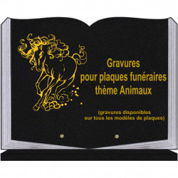 PLAQUE FUNÉRAIRE 30X40 LIVRE SUR SOCLE GRANIT ANIMAUX