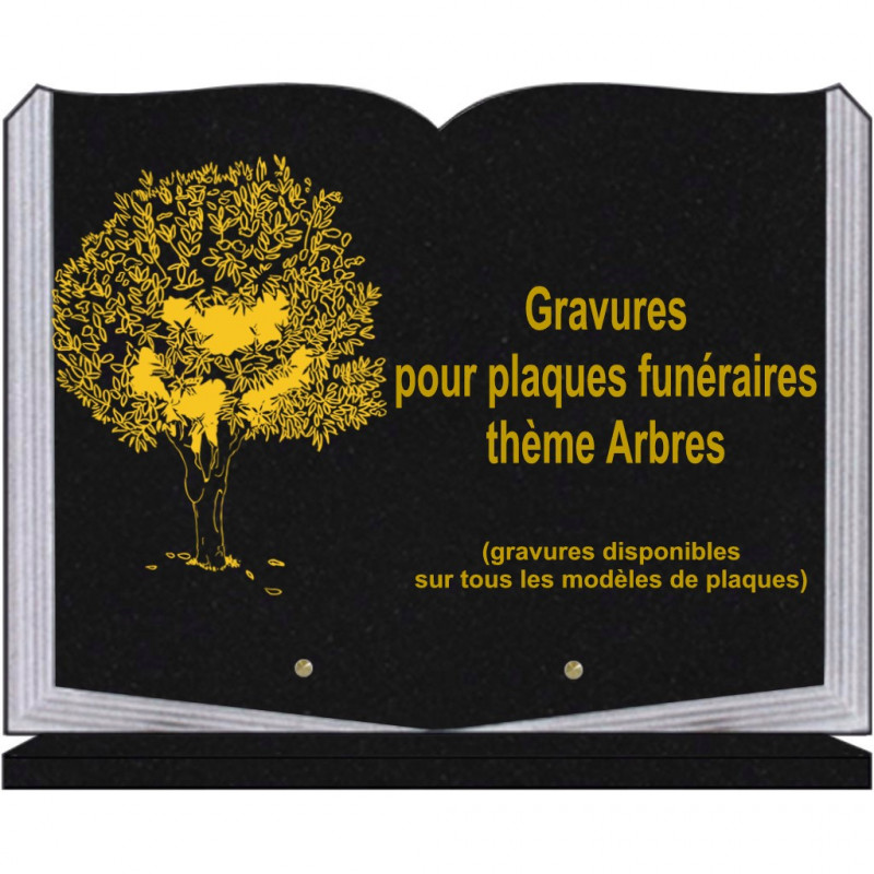 PLAQUE FUNÉRAIRE 30X40 LIVRE SUR SOCLE GRANIT ARBRES