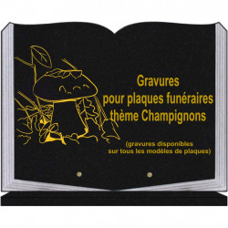 PLAQUE FUNÉRAIRE 30X40 LIVRE SUR SOCLE GRANIT CHAMPIGNONS