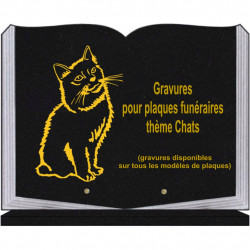 PLAQUE FUNÉRAIRE 30X40 LIVRE SUR SOCLE GRANIT CHATS