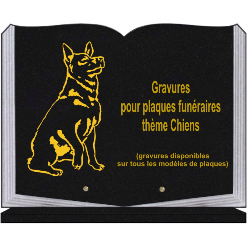 PLAQUE FUNÉRAIRE 30X40 LIVRE SUR SOCLE GRANIT CHIENS