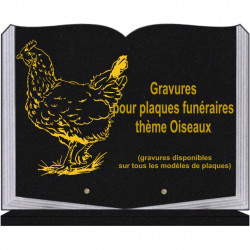 PLAQUE FUNÉRAIRE 30X40 LIVRE SUR SOCLE GRANIT OISEAUX