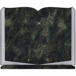 PLAQUE FUNÉRAIRE 35X45 LIVRE SUR SOCLE GRANIT VERT TROPICAL