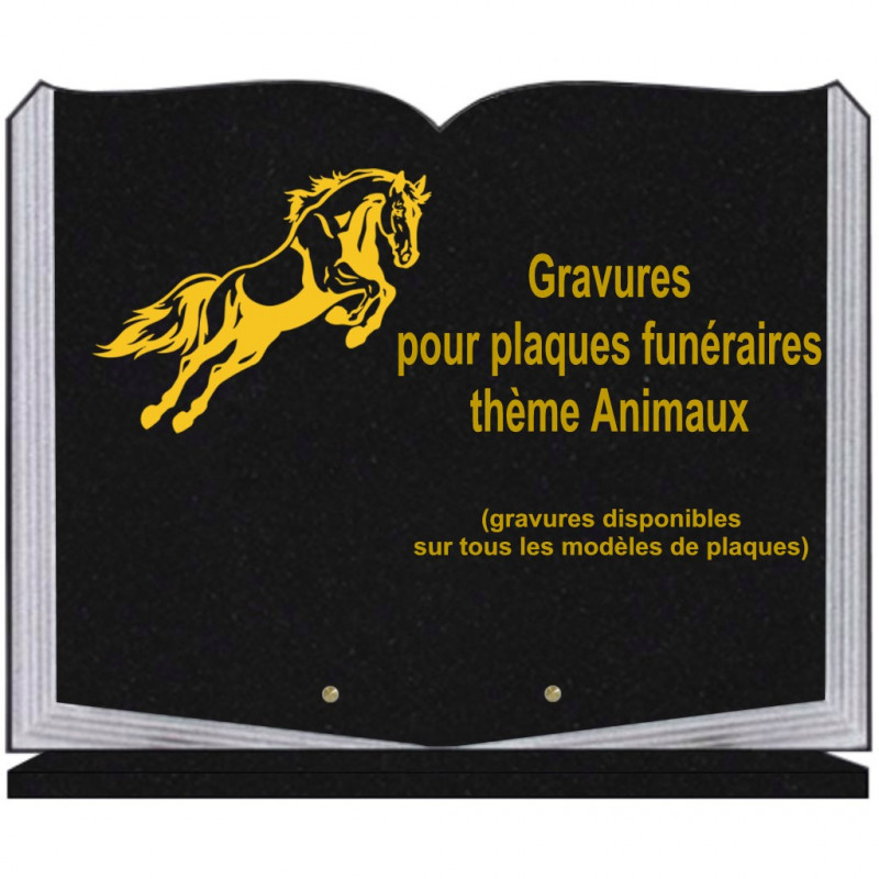 PLAQUE FUNÉRAIRE 35X45 LIVRE SUR SOCLE GRAVURE ANIMAUX