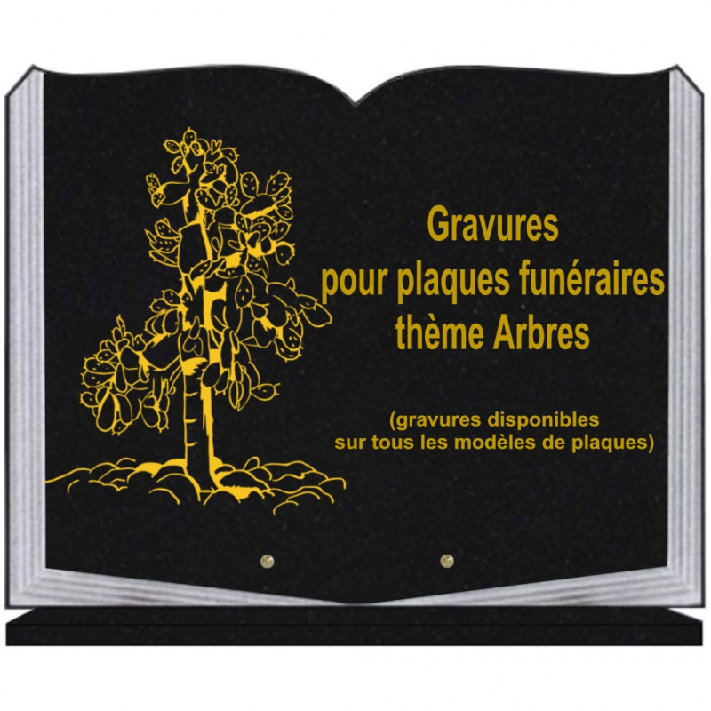 PLAQUE FUNÉRAIRE 35X45 LIVRE SUR SOCLE GRAVURE ARBRES