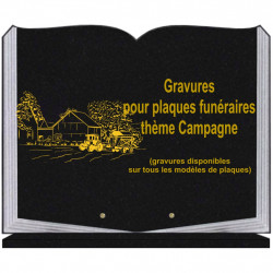 PLAQUE FUNÉRAIRE 35X45 LIVRE SUR SOCLE GRAVURE CAMPAGNE