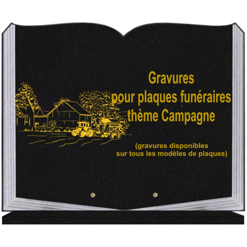 PLAQUE FUNÉRAIRE 35X45 LIVRE SUR SOCLE GRAVURE CAMPAGNE