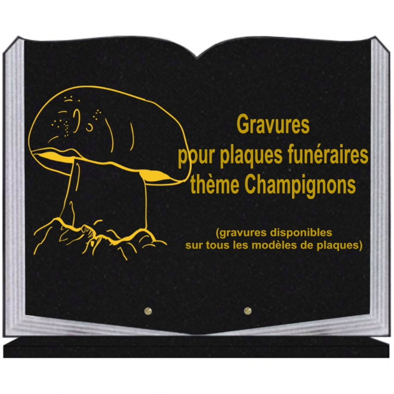 PLAQUE FUNÉRAIRE 35X45 LIVRE SUR SOCLE GRAVURE CHAMPIGNONS